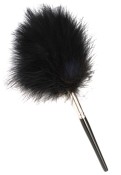 Feather Latent Brush
Latent Print Brushes
