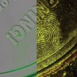 Greenwop™ Fluorescent Fingerprint Powder, 2 oz.