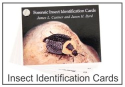 Forensic Insect Identification Cards