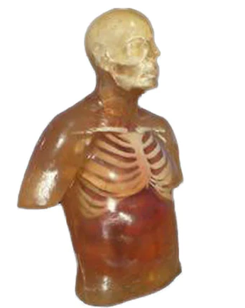 perma-gel.png