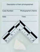Photo Scale - Adhesive L-Shaped